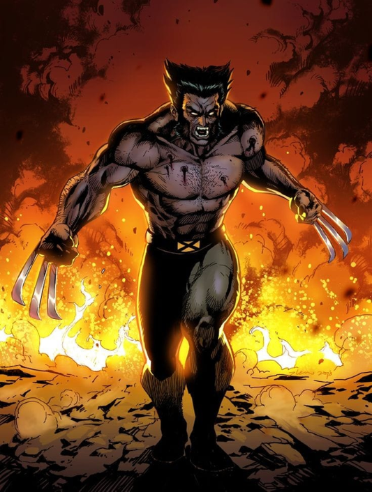 Wolverine Flaming Background 985 Print Poster