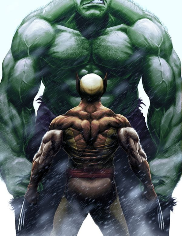 Wolverine Vs Hulk 431 Print Poster
