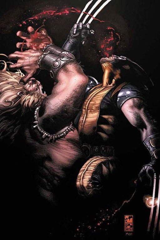 Wolverine Vs Sabretooth 364 Jigsaw Puzzle