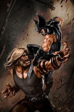 Wolverine Vs Sabretooth 6789 Print Poster