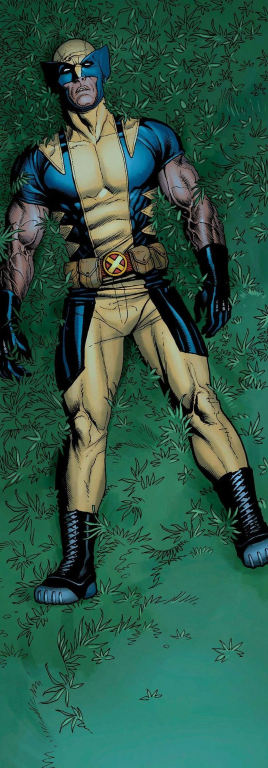 Wolverine Yellow Blue Costume 7489 Print Poster