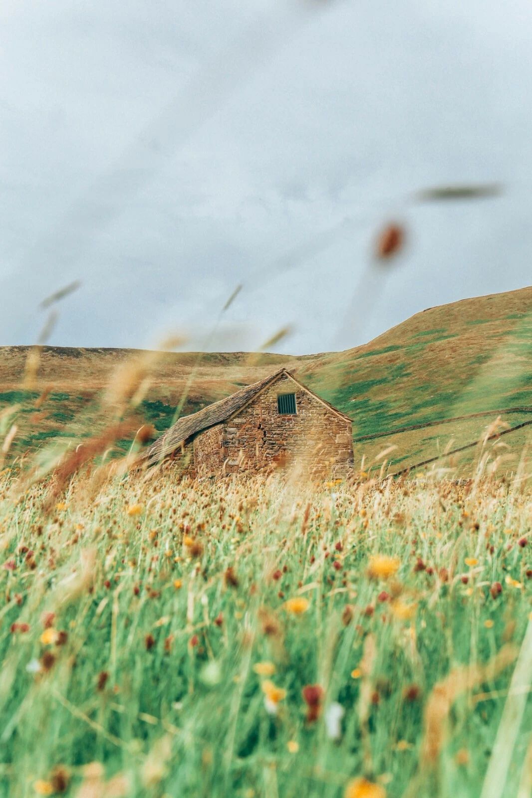 Wooden House And Wildflowers Peak District United Kingdom Magnet Picture Magnet