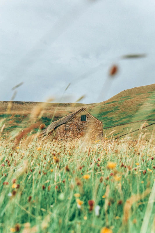 Wooden House And Wildflowers Peak District United Kingdom Photo Picture Poster
