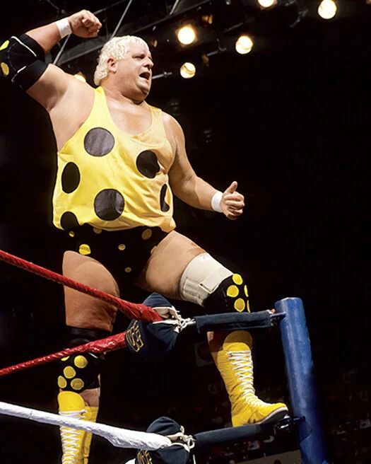 Wrestler Dusty Rhodes Glossy Photo Wwf Print Poster
