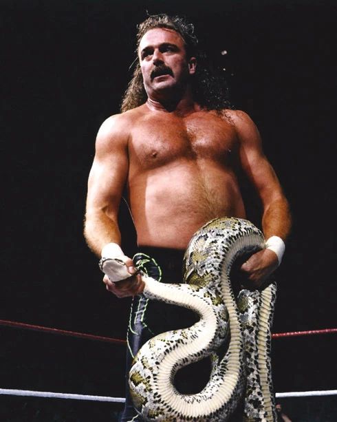 Wrestler Jake The Snake Roberts Glossy Photo Wrestling Wwf Print Poster