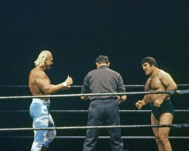 Wrestlers Bruno Sammartino Vs Billy Graham Glossy Photo Wwwf Print Poster