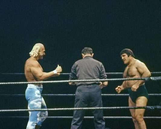 Wrestlers Bruno Sammartino Vs Billy Graham Glossy Photo Wwwf Print Poster
