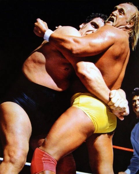 Wrestlers Hulk Hogan Vs Andre The Giant Glossy Keychain Wrestlemania 3 Print