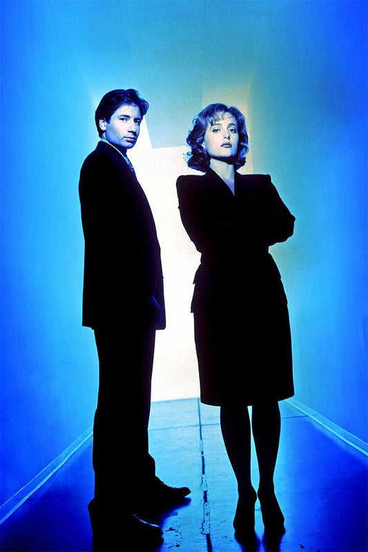 X Files Fight The Future Tv Series Sci Fi Print Wall Art Decor Poster