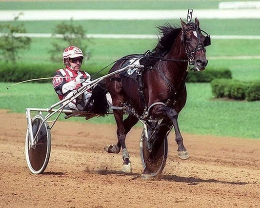 Yankee Cruiser Keychain Harness Horse Racing Picture