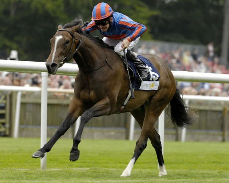 Yoursothrilling Magnet Horse Racing Picture