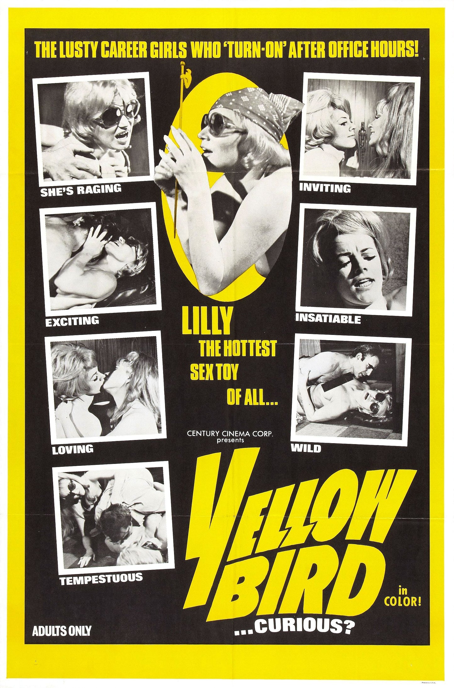 Yellow Bird 01 Movie Magnet