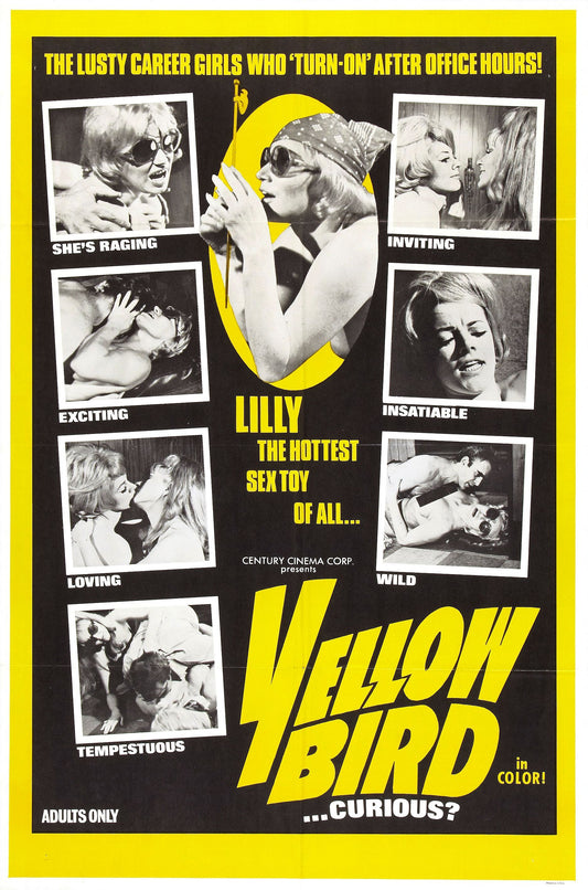 Yellow Bird 01 Movie Magnet