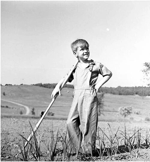 Young Boy Helps In Fields 1942 Young Farmer Depression Era Picture Photo