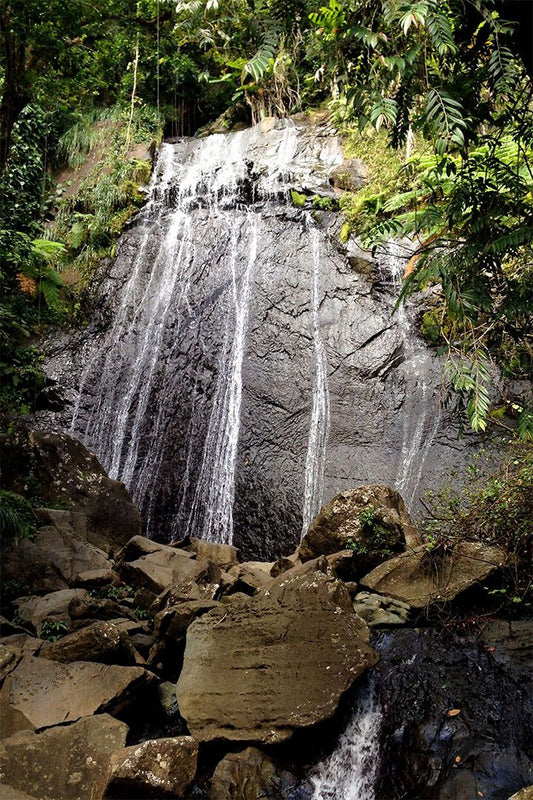Yunque Rain Forest Waterfall And Streamside Impatie Wall Art Home Poster