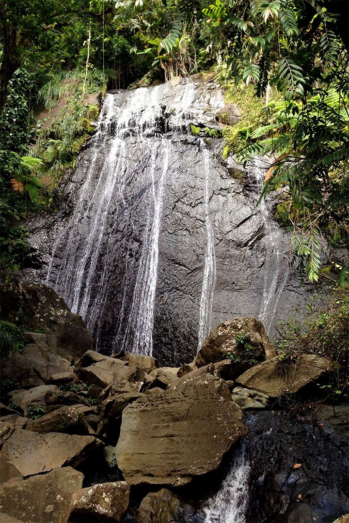 Yunque Rain Forest Waterfall And Streamside Impatie Jigsaw Puzzle