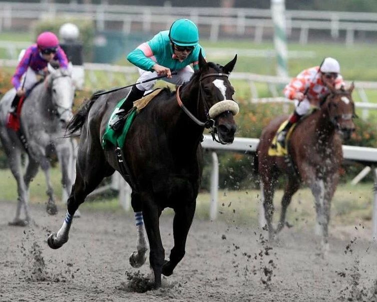 Zenyatta Keychain Horse Racing Picture