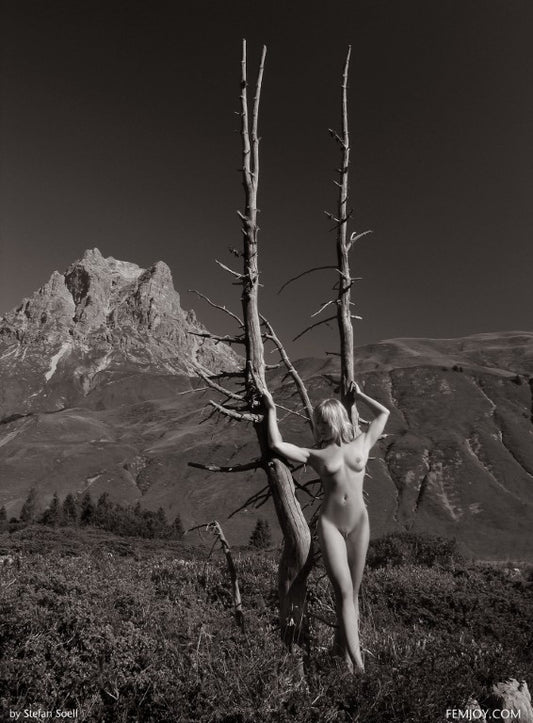 PHOTO (ART NUDES) FINE ART Professional FEMALE MODEL 8x10 Print