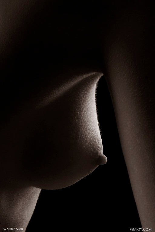 PHOTO (ART NUDES) FINE ART Professional FEMALE MODEL 8x10 Print