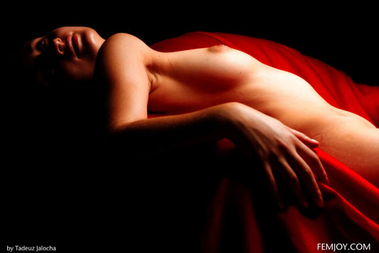 PHOTO (ART NUDES) FINE ART Professional FEMALE MODEL 8x10 Print