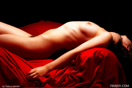 PHOTO (ART NUDES) FINE ART Professional FEMALE MODEL 8x10 Print