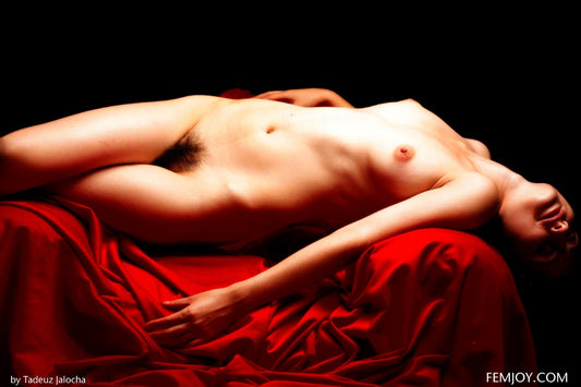 PHOTO (ART NUDES) FINE ART Professional FEMALE MODEL 8x10 Print