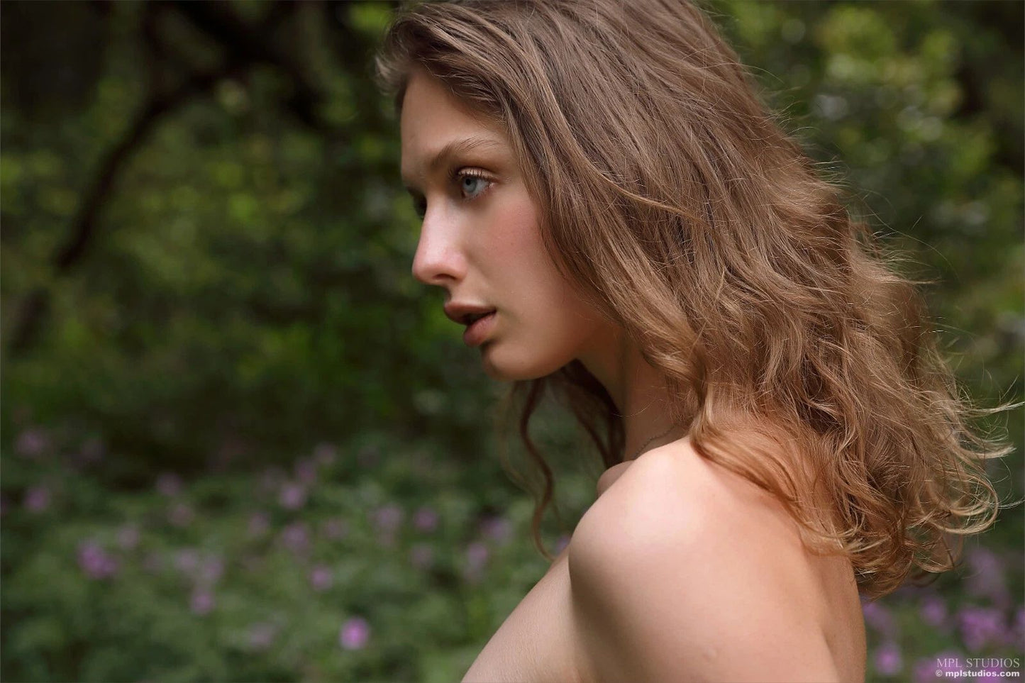 PHOTO (ART NUDES) FINE ART Professional FEMALE MODEL 8x10 Print